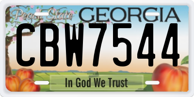 GA license plate CBW7544