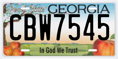 GA license plate CBW7545