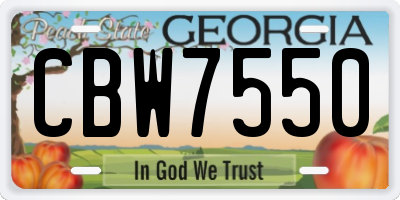 GA license plate CBW7550