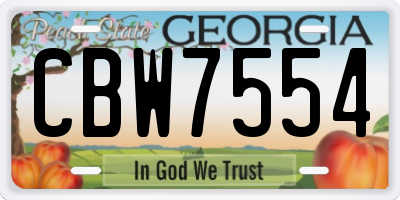 GA license plate CBW7554