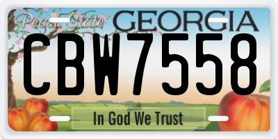 GA license plate CBW7558