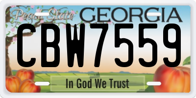 GA license plate CBW7559