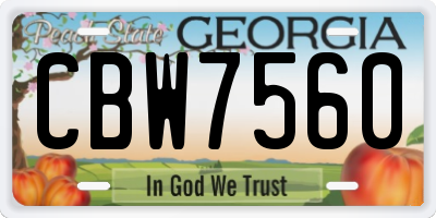 GA license plate CBW7560