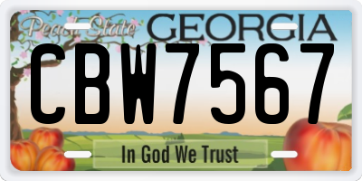GA license plate CBW7567