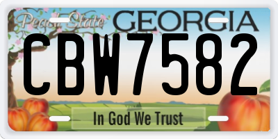 GA license plate CBW7582