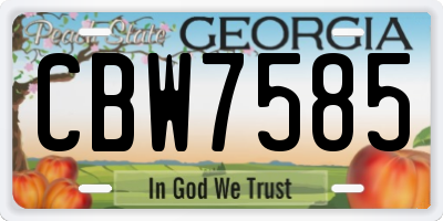 GA license plate CBW7585