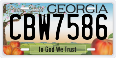 GA license plate CBW7586