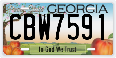 GA license plate CBW7591
