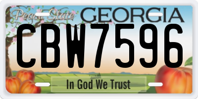 GA license plate CBW7596