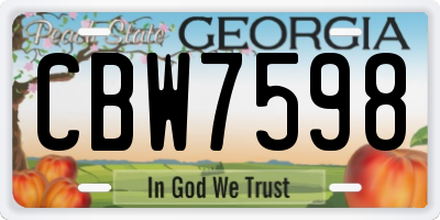GA license plate CBW7598