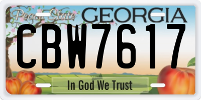 GA license plate CBW7617