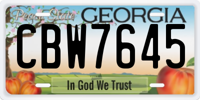 GA license plate CBW7645