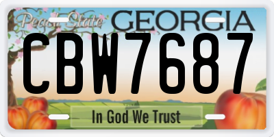 GA license plate CBW7687