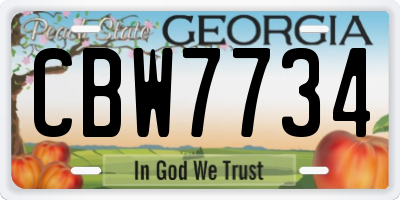 GA license plate CBW7734