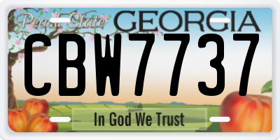 GA license plate CBW7737