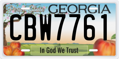 GA license plate CBW7761