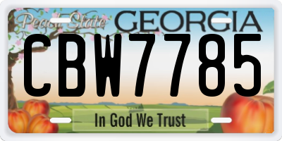 GA license plate CBW7785