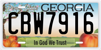 GA license plate CBW7916
