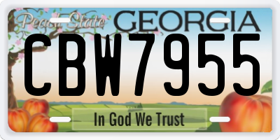 GA license plate CBW7955