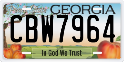 GA license plate CBW7964