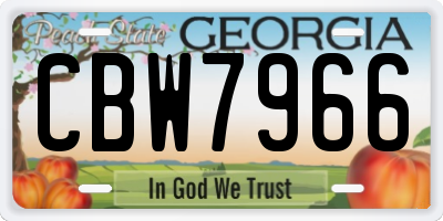 GA license plate CBW7966
