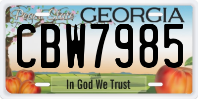 GA license plate CBW7985