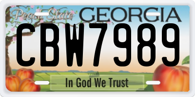 GA license plate CBW7989