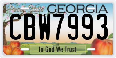 GA license plate CBW7993