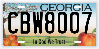 GA license plate CBW8007