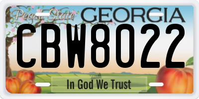 GA license plate CBW8022