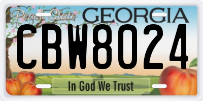 GA license plate CBW8024