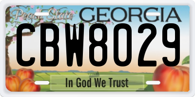 GA license plate CBW8029
