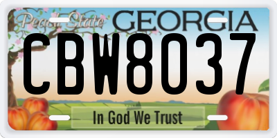 GA license plate CBW8037