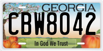 GA license plate CBW8042