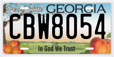 GA license plate CBW8054