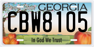 GA license plate CBW8105