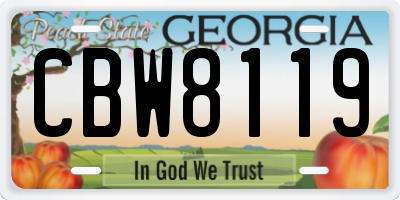 GA license plate CBW8119