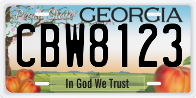 GA license plate CBW8123