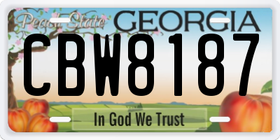 GA license plate CBW8187