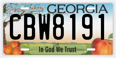 GA license plate CBW8191