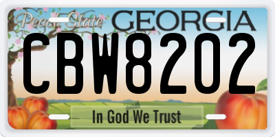 GA license plate CBW8202
