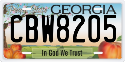 GA license plate CBW8205