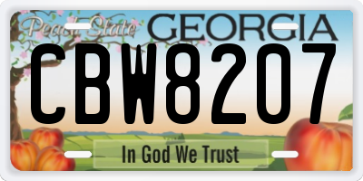 GA license plate CBW8207