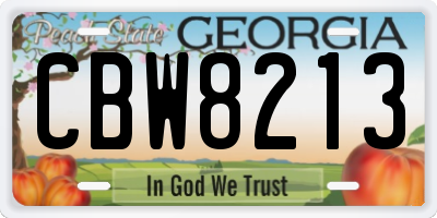 GA license plate CBW8213