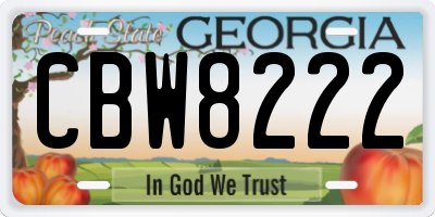 GA license plate CBW8222