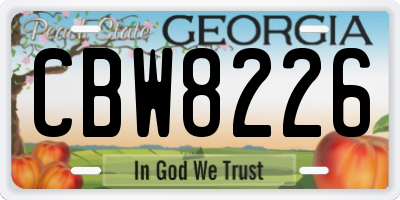 GA license plate CBW8226