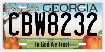 GA license plate CBW8232