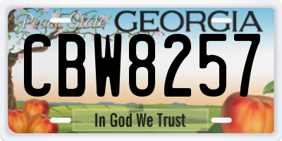 GA license plate CBW8257