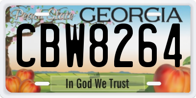 GA license plate CBW8264