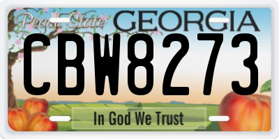 GA license plate CBW8273